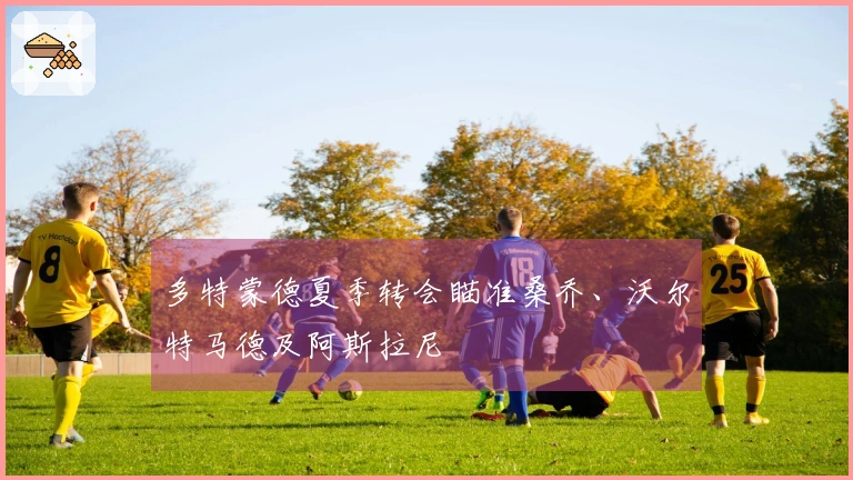 多特蒙德夏季转会瞄准桑乔、沃尔特马德及阿斯拉尼
